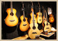 Breedlove Guitars