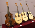 Fujii Guitar