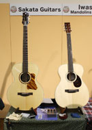 Sakata Guitars