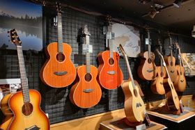 Breedlove Guitars